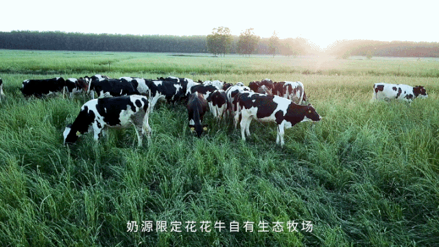 快訊 | 長江商學院智能制造學會走進花花牛乳業集團 快訊 | 長江商學院智能制造學會走進花花牛乳業集團