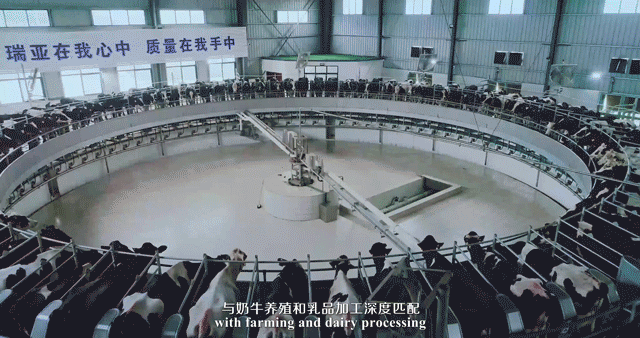 快訊 | 湖北省農業廳副廳長王海濤等領導一行蒞臨河南花花牛乳業集團參觀調研 快訊 | 湖北省農業廳副廳長王海濤等領導一行蒞臨河南花花牛乳業集團參觀調研