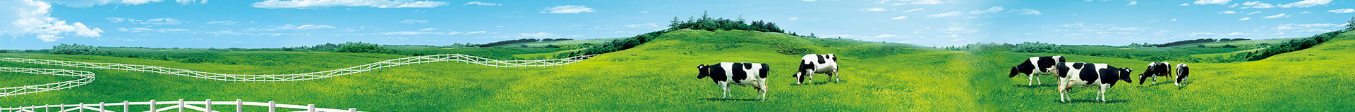 http://m.sumtech.com.cn/data/upload/202412/20241225200749_228.jpg